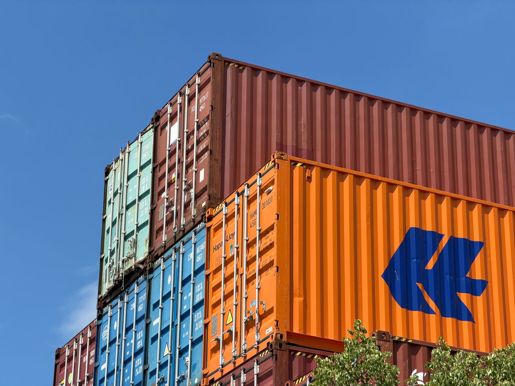 25 US States Challenge Trump's Tariffs on 60 Countries in Legal Coalition