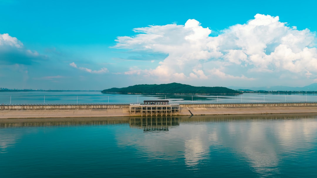Floating solar panels emerge as India's answer to land scarcity in renewable energy